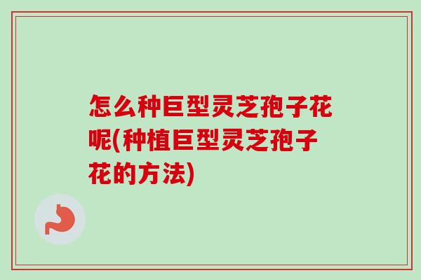 怎么种巨型灵芝孢子花呢(种植巨型灵芝孢子花的方法) 怎么种巨型灵芝孢子花呢(种植巨型灵芝孢子花的方法)