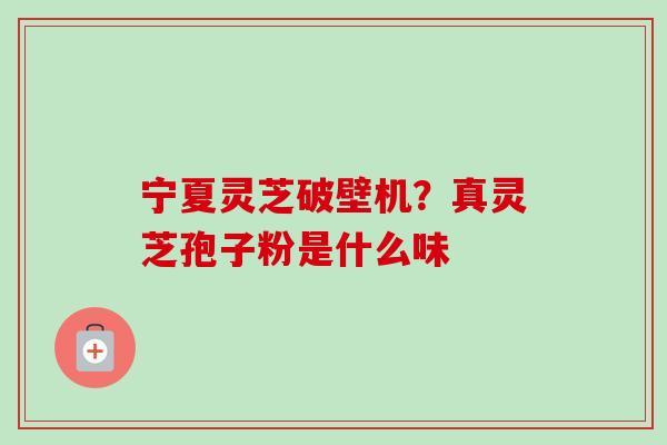 宁夏灵芝破壁机?真灵芝孢子粉是什么味 宁夏灵芝破壁机?真灵芝孢子粉是什么味
