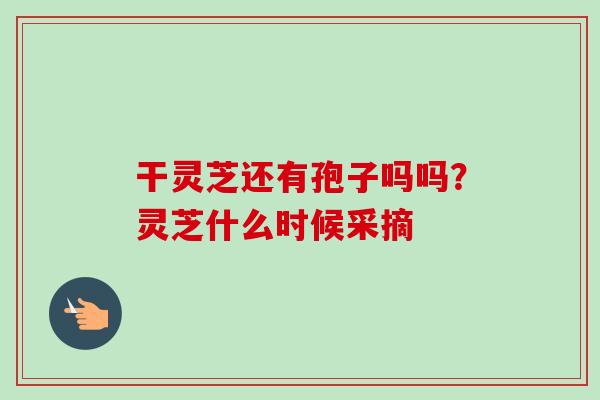干灵芝还有孢子吗吗？灵芝什么时候采摘