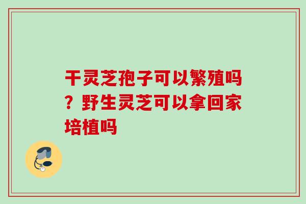 干灵芝孢子可以繁殖吗?野生灵芝可以拿回家培植吗 干灵芝孢子可以繁殖吗?野生灵芝可以拿回家培植吗