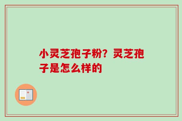 小灵芝孢子粉？灵芝孢子是怎么样的