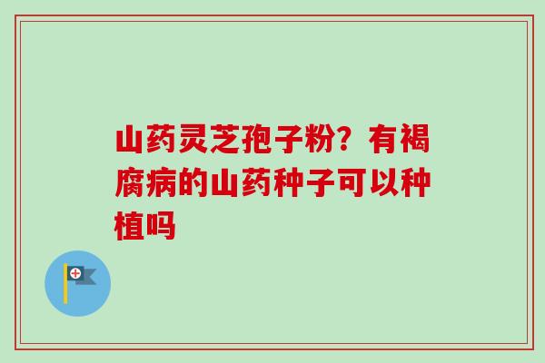 山药灵芝孢子粉？有褐腐的山药种子可以种植吗