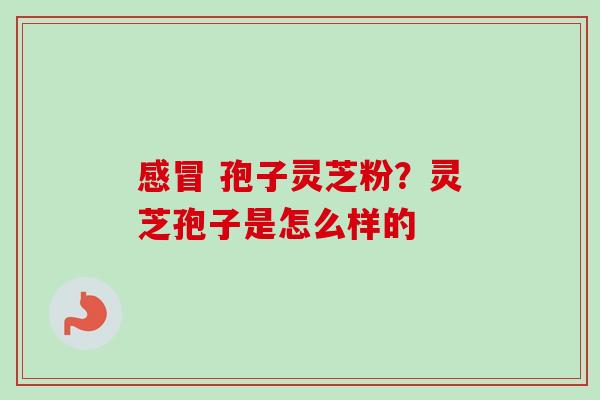 孢子灵芝粉?灵芝孢子是怎么样的 孢子灵芝粉?灵芝孢子是怎么样的