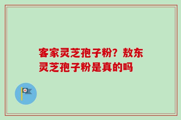 客家灵芝孢子粉?敖东灵芝孢子粉是真的吗 客家灵芝孢子粉?敖东灵芝孢子粉是真的吗