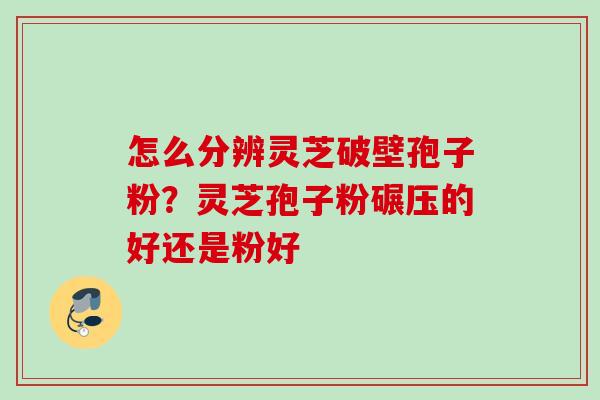 怎么分辨灵芝破壁孢子粉?灵芝孢子粉碾压的好还是粉好 怎么分辨灵芝破壁孢子粉?灵芝孢子粉碾压的好还是粉好