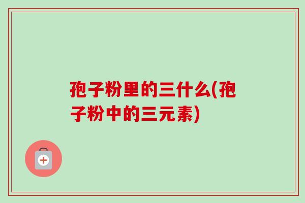 孢子粉里的三什么(孢子粉中的三元素) 孢子粉里的三什么(孢子粉中的三元素)