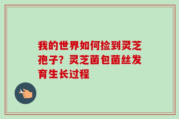 我的世界如何捡到灵芝孢子?灵芝菌包菌丝发育生长过程 我的世界如何捡到灵芝孢子?灵芝菌包菌丝发育生长过程
