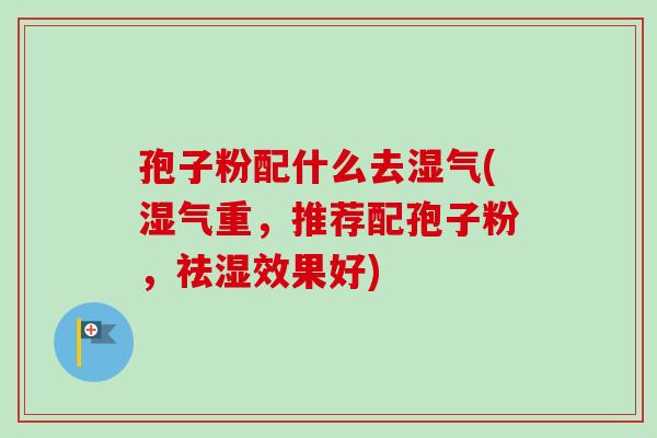 孢子粉配什么去湿气(湿气重，推荐配孢子粉，祛湿效果好)