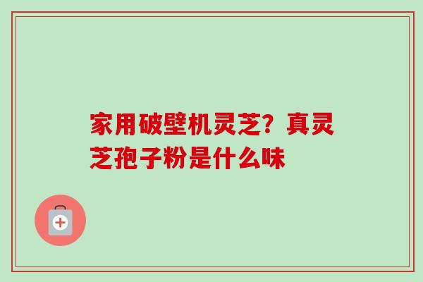 家用破壁机灵芝？真灵芝孢子粉是什么味