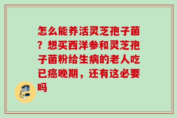 怎么能养活灵芝孢子菌？想买西洋参和灵芝孢子菌粉给生的老人吃已晚期，还有这必要吗