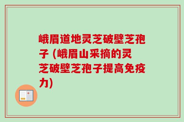 峨眉道地灵芝破壁芝孢子 (峨眉山采摘的灵芝破壁芝孢子提高免疫力) 峨眉道地灵芝破壁芝孢子 (峨眉山采摘的灵芝破壁芝孢子提高免疫力)