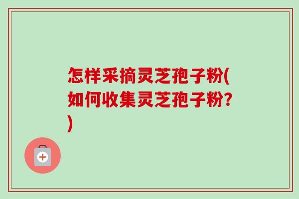 怎样采摘灵芝孢子粉(如何收集灵芝孢子粉?) 怎样采摘灵芝孢子粉(如何收集灵芝孢子粉?)