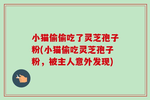 小猫偷偷吃了灵芝孢子粉(小猫偷吃灵芝孢子粉,被主人意外发现) 小猫偷偷吃了灵芝孢子粉(小猫偷吃灵芝孢子粉,被主人意外发现)