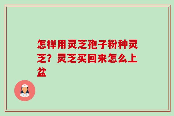 怎样用灵芝孢子粉种灵芝?灵芝买回来怎么上盆 怎样用灵芝孢子粉种灵芝?灵芝买回来怎么上盆