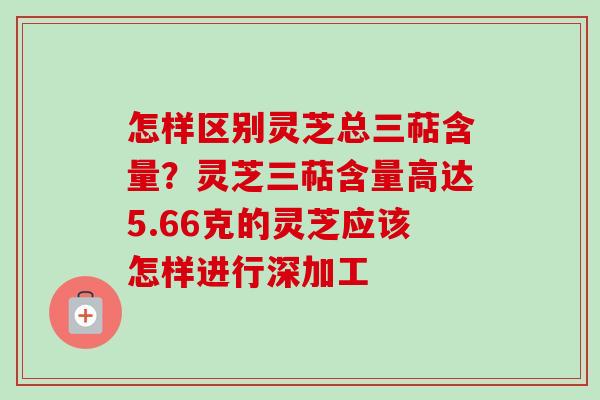 怎样区别灵芝总三萜含量?灵芝三萜含量高达5.66克的灵芝应该怎样进行深加工 怎样区别灵芝总三萜含量?灵芝三萜含量高达5.66克的灵芝应该怎样进行深加工
