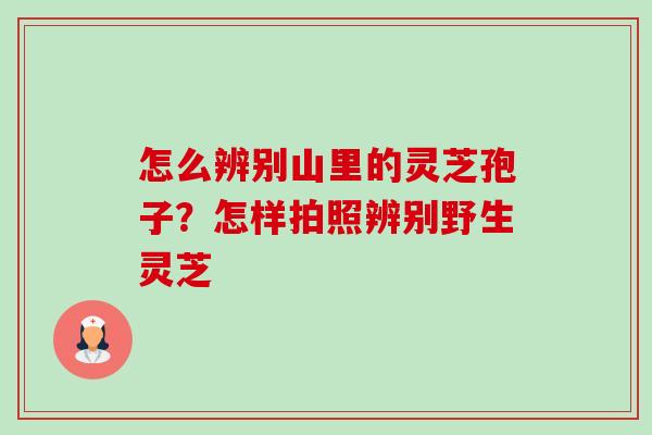 怎么辨别山里的灵芝孢子?怎样拍照辨别野生灵芝 怎么辨别山里的灵芝孢子?怎样拍照辨别野生灵芝