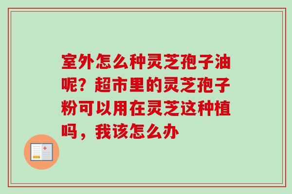 室外怎么种灵芝孢子油呢?超市里的灵芝孢子粉可以用在灵芝这种植吗,我该怎么办 室外怎么种灵芝孢子油呢?超市里的灵芝孢子粉可以用在灵芝这种植吗,我该怎么办