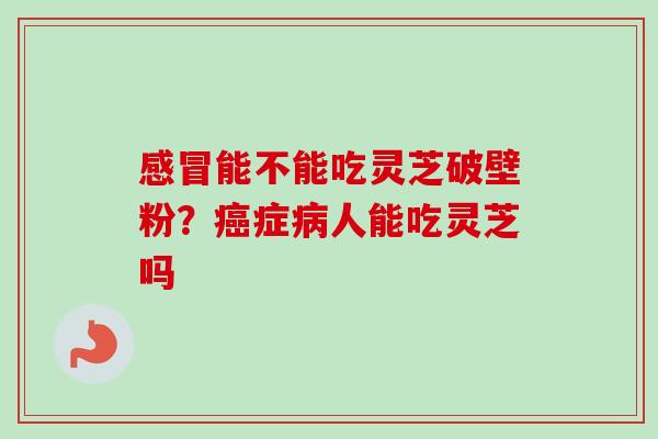 能不能吃灵芝破壁粉？症人能吃灵芝吗