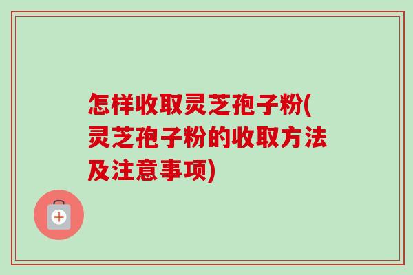 怎样收取灵芝孢子粉(灵芝孢子粉的收取方法及注意事项)