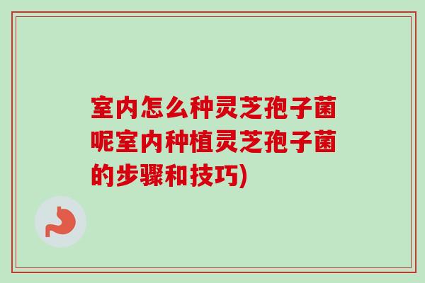 室内怎么种灵芝孢子菌呢室内种植灵芝孢子菌的步骤和技巧) 室内怎么种灵芝孢子菌呢室内种植灵芝孢子菌的步骤和技巧)