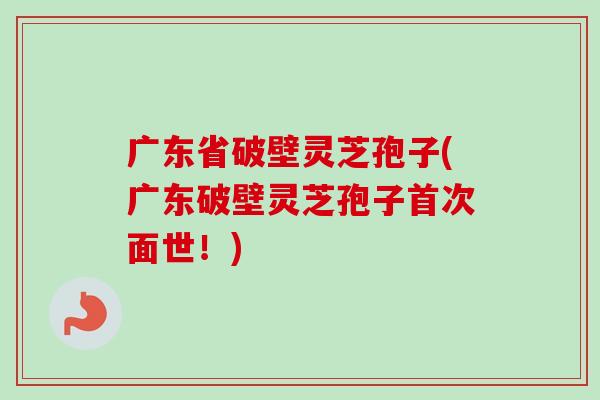 广东省破壁灵芝孢子(广东破壁灵芝孢子首次面世!) 广东省破壁灵芝孢子(广东破壁灵芝孢子首次面世!)