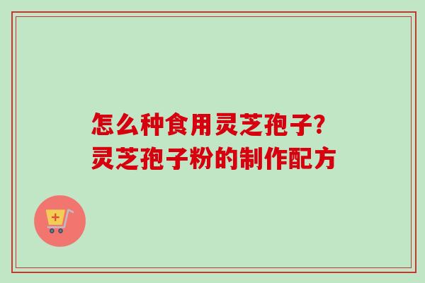 怎么种食用灵芝孢子?灵芝孢子粉的制作配方 怎么种食用灵芝孢子?灵芝孢子粉的制作配方