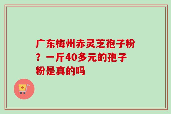 广东梅州赤灵芝孢子粉？一斤40多元的孢子粉是真的吗
