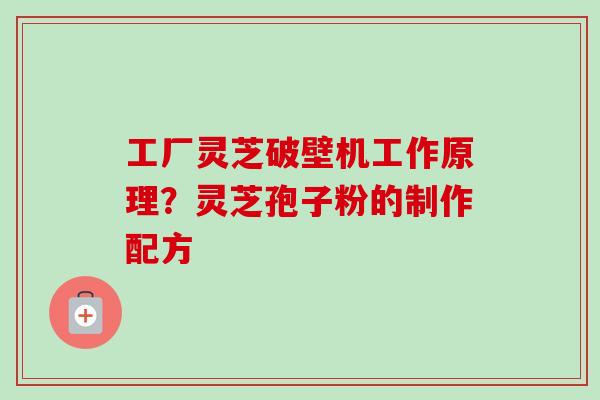工厂灵芝破壁机工作原理？灵芝孢子粉的制作配方