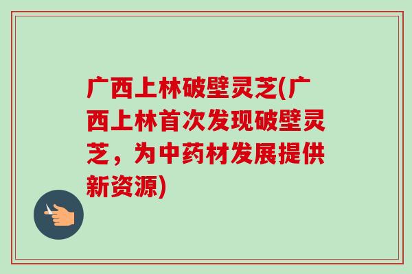 广西上林破壁灵芝(广西上林首次发现破壁灵芝,为材发展提供新资源) 广西上林破壁灵芝(广西上林首次发现破壁灵芝,为材发展提供新资源)