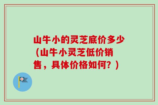 山牛小的灵芝底价多少 (山牛小灵芝低价销售,具体价格如何?) 山牛小的灵芝底价多少 (山牛小灵芝低价销售,具体价格如何?)