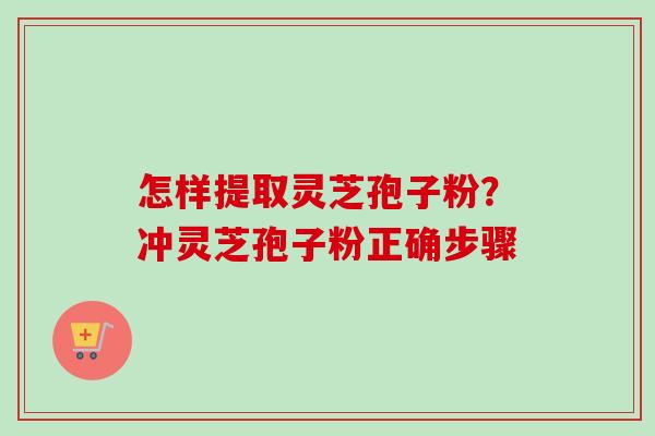 怎样提取灵芝孢子粉？冲灵芝孢子粉正确步骤