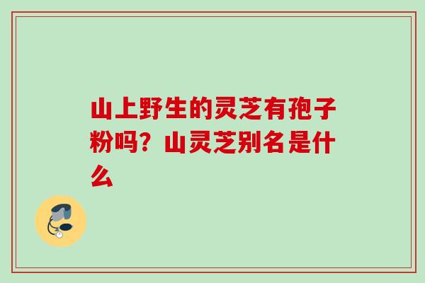 山上野生的灵芝有孢子粉吗?山灵芝别名是什么 山上野生的灵芝有孢子粉吗?山灵芝别名是什么