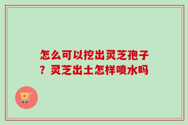 怎么可以挖出灵芝孢子?灵芝出土怎样喷水吗 怎么可以挖出灵芝孢子?灵芝出土怎样喷水吗