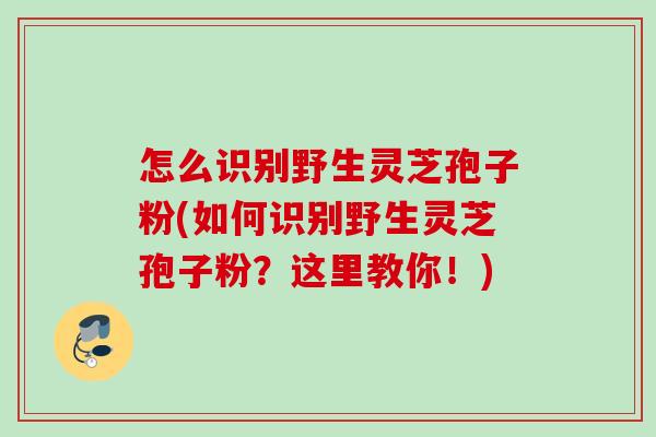 怎么识别野生灵芝孢子粉(如何识别野生灵芝孢子粉?这里教你!) 怎么识别野生灵芝孢子粉(如何识别野生灵芝孢子粉?这里教你!)