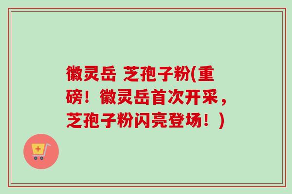 徽灵岳 芝孢子粉(重磅!徽灵岳首次开采,芝孢子粉闪亮登场!) 徽灵岳 芝孢子粉(重磅!徽灵岳首次开采,芝孢子粉闪亮登场!)