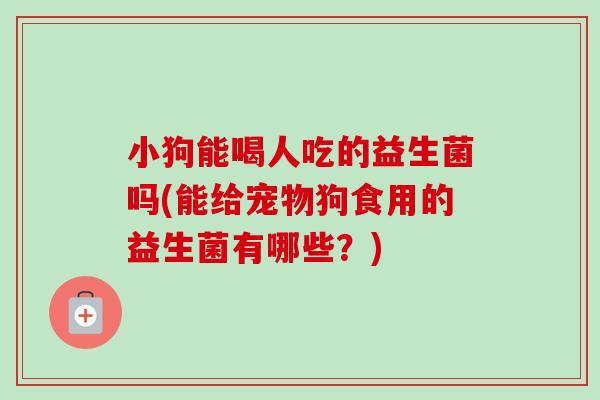 小狗能喝人吃的益生菌吗(能给宠物狗食用的益生菌有哪些?) 小狗能喝人吃的益生菌吗(能给宠物狗食用的益生菌有哪些?)