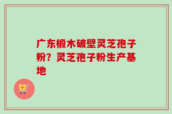 广东椴木破壁灵芝孢子粉?灵芝孢子粉生产基地 广东椴木破壁灵芝孢子粉?灵芝孢子粉生产基地