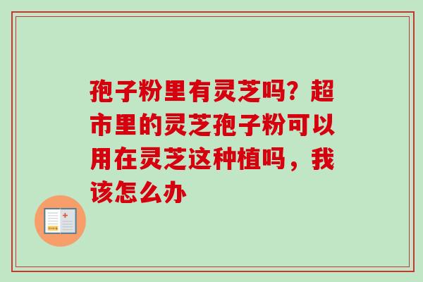孢子粉里有灵芝吗?超市里的灵芝孢子粉可以用在灵芝这种植吗,我该怎么办 孢子粉里有灵芝吗?超市里的灵芝孢子粉可以用在灵芝这种植吗,我该怎么办