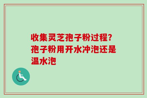 收集灵芝孢子粉过程？孢子粉用开水冲泡还是温水泡