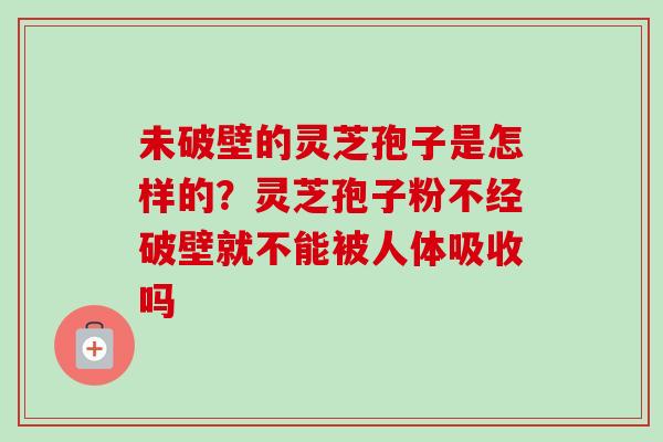 未破壁的灵芝孢子是怎样的?灵芝孢子粉不经破壁就不能被人体吸收吗 未破壁的灵芝孢子是怎样的?灵芝孢子粉不经破壁就不能被人体吸收吗