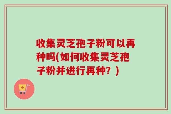 收集灵芝孢子粉可以再种吗(如何收集灵芝孢子粉并进行再种?) 收集灵芝孢子粉可以再种吗(如何收集灵芝孢子粉并进行再种?)
