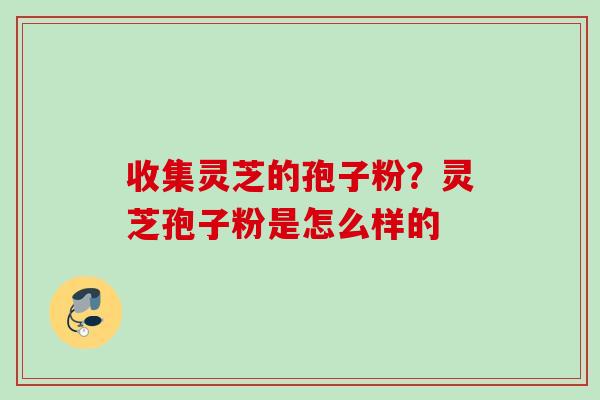 收集灵芝的孢子粉?灵芝孢子粉是怎么样的 收集灵芝的孢子粉?灵芝孢子粉是怎么样的
