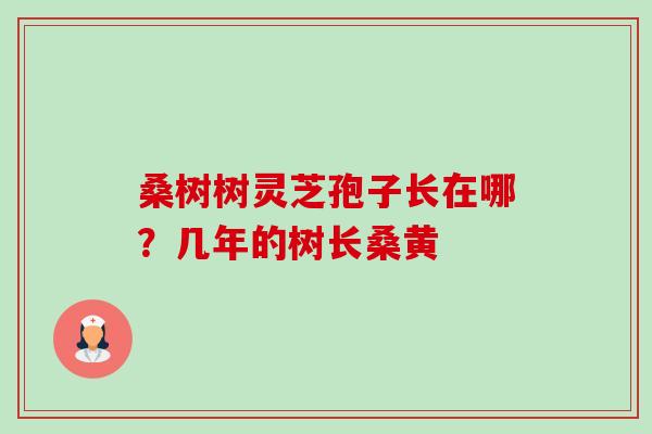 桑树树灵芝孢子长在哪?几年的树长桑黄 桑树树灵芝孢子长在哪?几年的树长桑黄