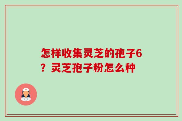 怎样收集灵芝的孢子6？灵芝孢子粉怎么种