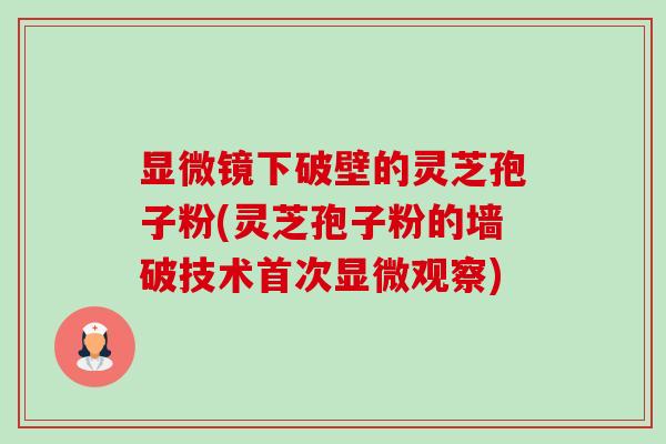 显微镜下破壁的灵芝孢子粉(灵芝孢子粉的墙破技术首次显微观察) 显微镜下破壁的灵芝孢子粉(灵芝孢子粉的墙破技术首次显微观察)