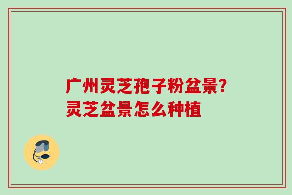 广州灵芝孢子粉盆景？灵芝盆景怎么种植