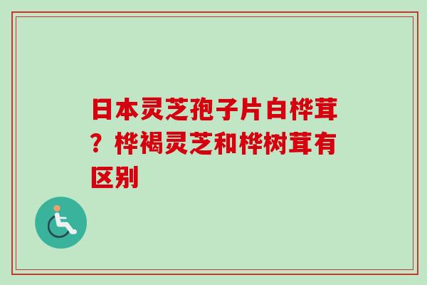 日本灵芝孢子片白桦茸?桦褐灵芝和桦树茸有区别 日本灵芝孢子片白桦茸?桦褐灵芝和桦树茸有区别
