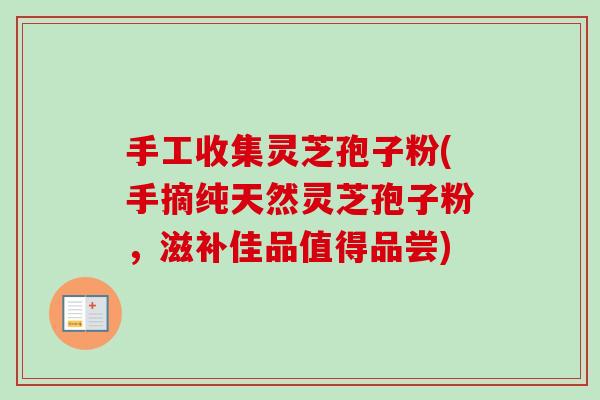 手工收集灵芝孢子粉(手摘纯天然灵芝孢子粉,滋补佳品值得品尝) 手工收集灵芝孢子粉(手摘纯天然灵芝孢子粉,滋补佳品值得品尝)