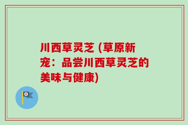 川西草灵芝 (草原新宠:品尝川西草灵芝的美味与健康) 川西草灵芝 (草原新宠:品尝川西草灵芝的美味与健康)