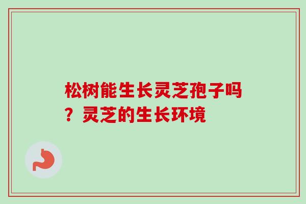 松树能生长灵芝孢子吗?灵芝的生长环境 松树能生长灵芝孢子吗?灵芝的生长环境